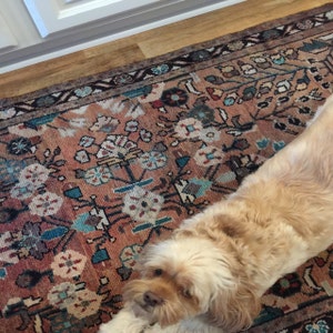 Betsy added a photo of their purchase