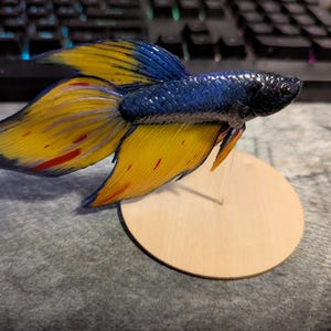 Eugene added a photo of their purchase