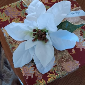 Judy added a photo of their purchase