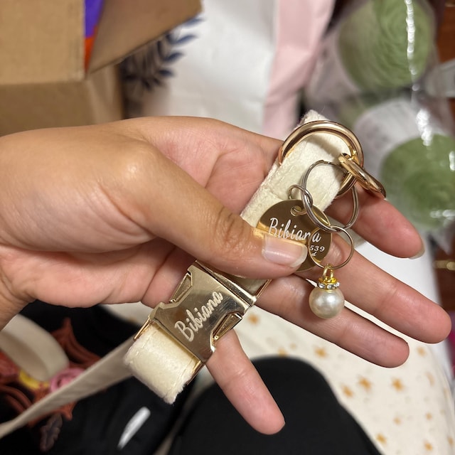 Multiple Colour Velvet Personalise Dog Collar Leash Set With Bow