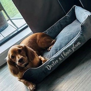 Diane added a photo of their purchase