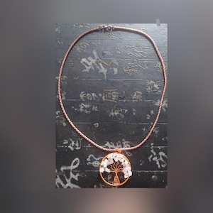 Patricia added a photo of their purchase