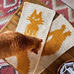 cassie added a photo of their purchase