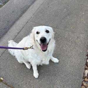 Cam added a photo of their purchase