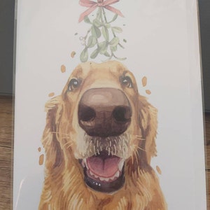 Sophie adicionaram uma foto da sua compra