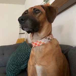 Bailey added a photo of their purchase