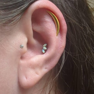 Lorylyn added a photo of their purchase