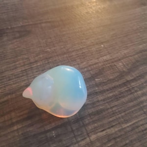 Randi ha aggiunto una foto del proprio acquisto