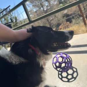 Loki added a photo of their purchase
