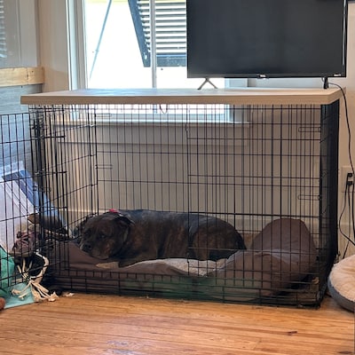 Curated visual reference: Picture Idea: Dog Kennel Wood Top With Safety Lip Handcrafted Double Dog