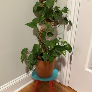 Hannah ha añadido una foto de su compra