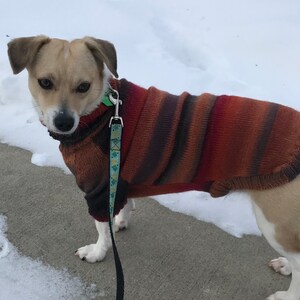 Sueter calido para perros Sueter para perros de invierno para Jack Russell Terrier Ropa para perros Ropa para perros de punto Pequeno Medio Sueter para mascotas Abrigo para perros personalizado Etsy M...