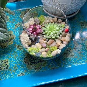 B added a photo of their purchase