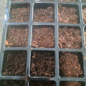 Stephany hat ein Foto des gekauften Artikels hinzugefügt