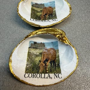 Barbara added a photo of their purchase
