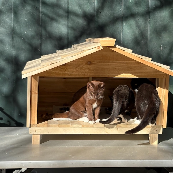 Stunning Feeding A Hideaway And Energy Of Cat Food Owners image
