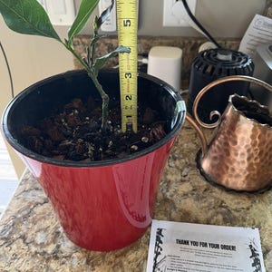 Amy added a photo of their purchase
