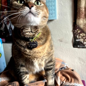 Meg added a photo of their purchase