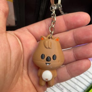 Buy Skzoo Keychain, Stray Kids Keychain, 3D Printed Keyring, Pilot