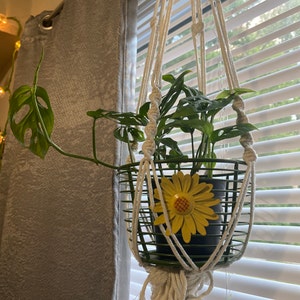 Sydney added a photo of their purchase