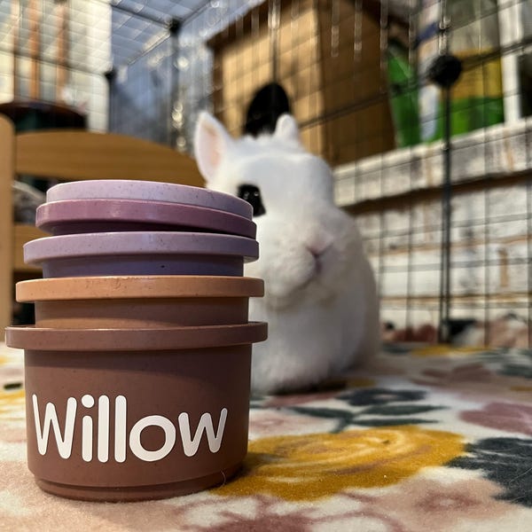 Bunny Stacking Cups: Wheat Straw Rabbit Toy, Pet Enrichment - Etsy
