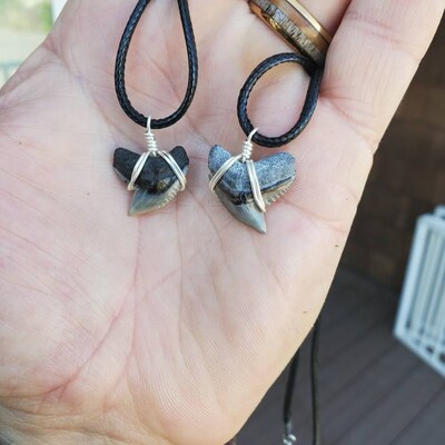 Broken Megalodon Shark Teeth, Real Fossil Sharks Tooth, Unique Arts and