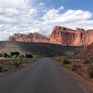 Tania added a photo of their purchase