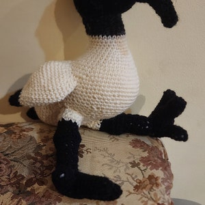 lesley added a photo of their purchase