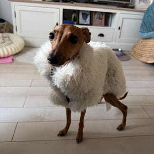 Ioana added a photo of their purchase
