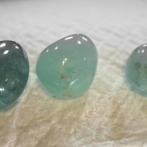 Melody added a photo of their purchase