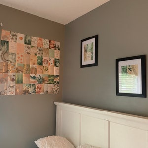 Hailey added a photo of their purchase