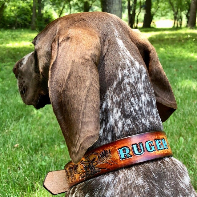 Leather Hunting Dog Collar 1.25 inch wide elk Etsy