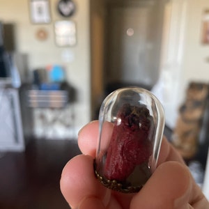 Amanda Huckins added a photo of their purchase