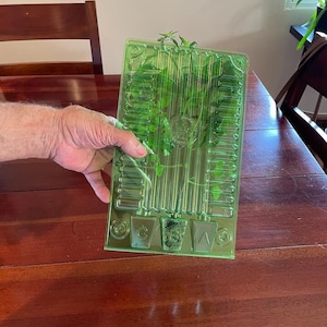 Leslie added a photo of their purchase