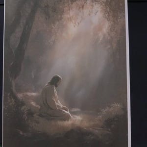 Jane さんが購入した商品の写真を追加しました