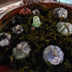 Kimberly added a photo of their purchase