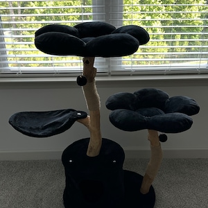 Brianna added a photo of their purchase