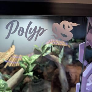 Jennifer added a photo of their purchase