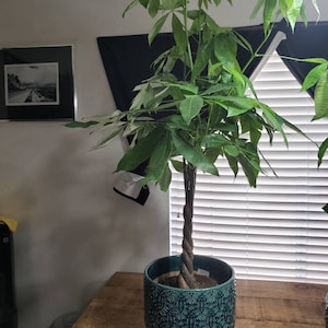 Wesley ha añadido una foto de su compra