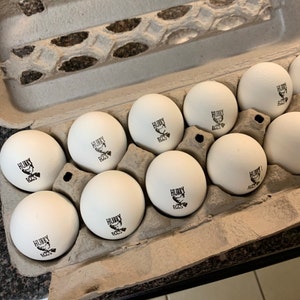 Kari added a photo of their purchase