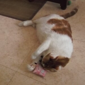 cricri ha añadido una foto de su compra