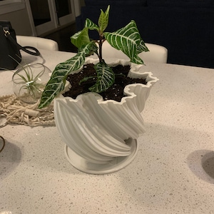 Sharf added a photo of their purchase