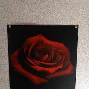 Dark Red Rose Photo, Red Rose Photograph, Rose Fine Art Print
