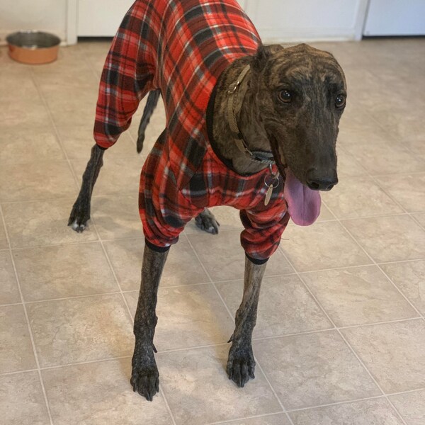 Dogs / Greyhound Pajamas - Etsy