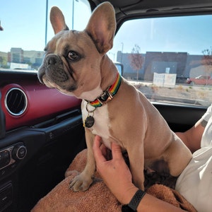 Lindsey added a photo of their purchase