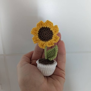 Annamária added a photo of their purchase