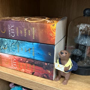 Amber added a photo of their purchase