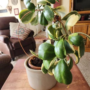 Jennifer added a photo of their purchase