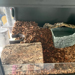 Jamie added a photo of their purchase