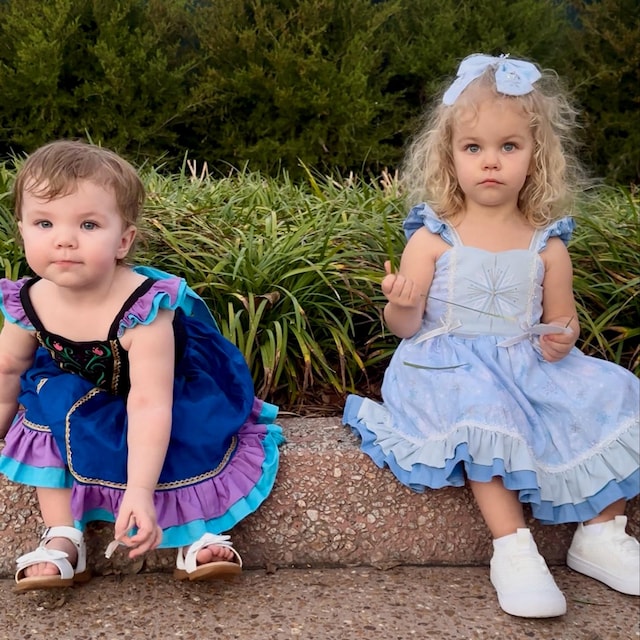 Princess Anna Inspired Dress, Embroidered Bodice Costume, Toddler Outfit -  Etsy